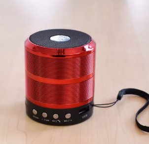 MINI PARLANTE WS-887